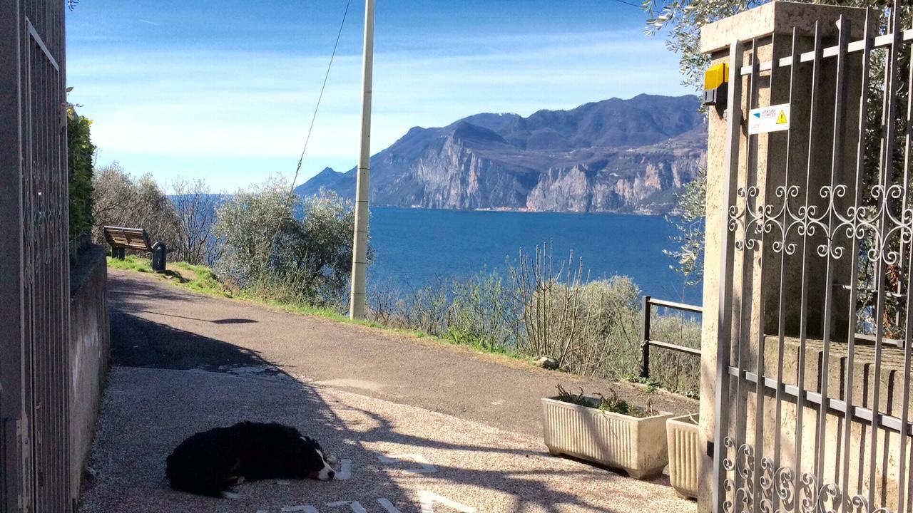 Villa Gaia Malcesine Exterior photo
